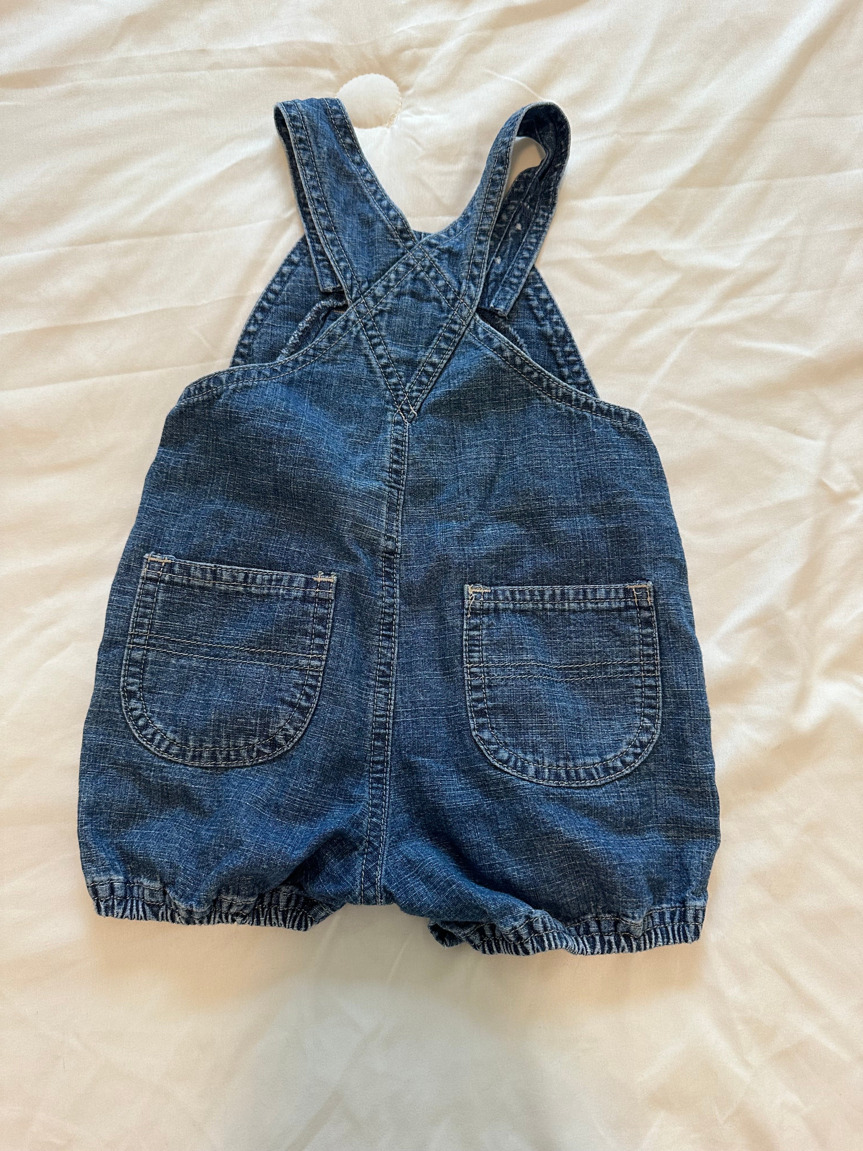 Bluebird Trail Overalls 🩵